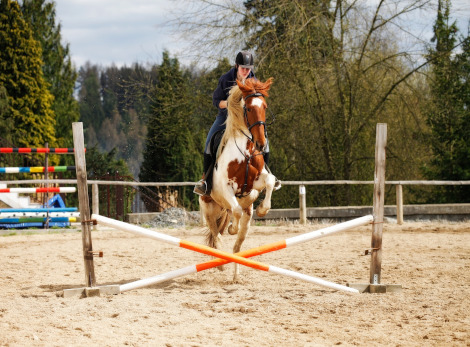 sable_pour_centres_equestres